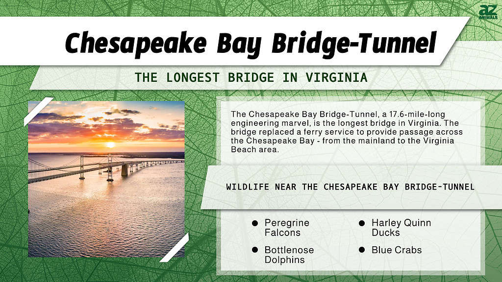 The Chesapeake Bay Bridge-Tunnel is the Longest Bridge in Virginia