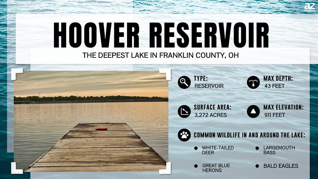 Infographic of Hoover Reservoir