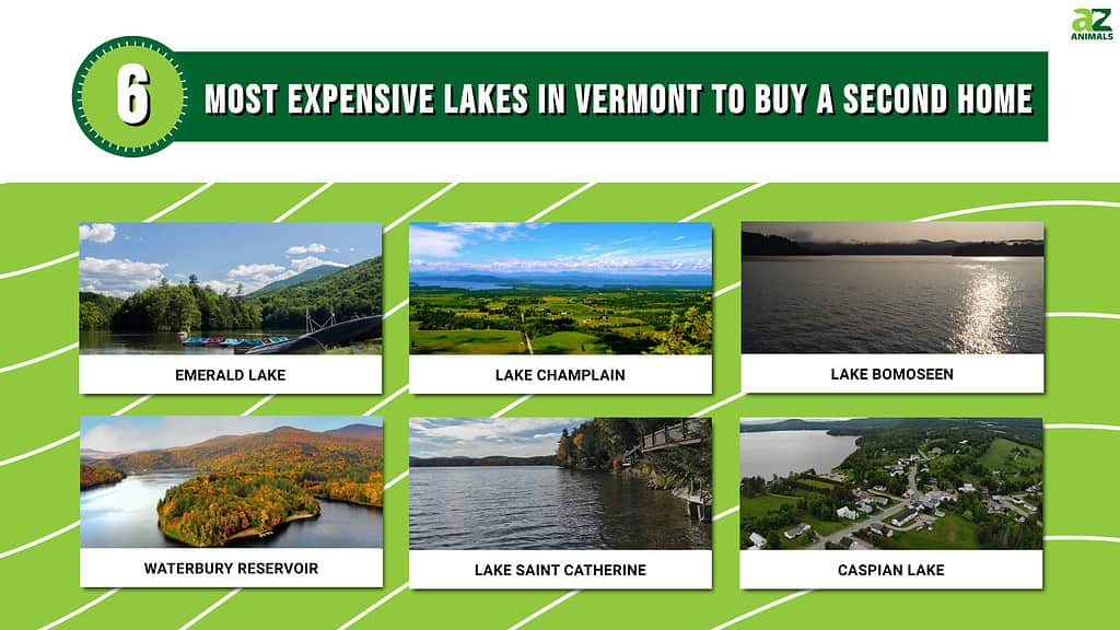 Infographic for the 6 Most Expensive Lakes in Vermont to Buy a Second Home
