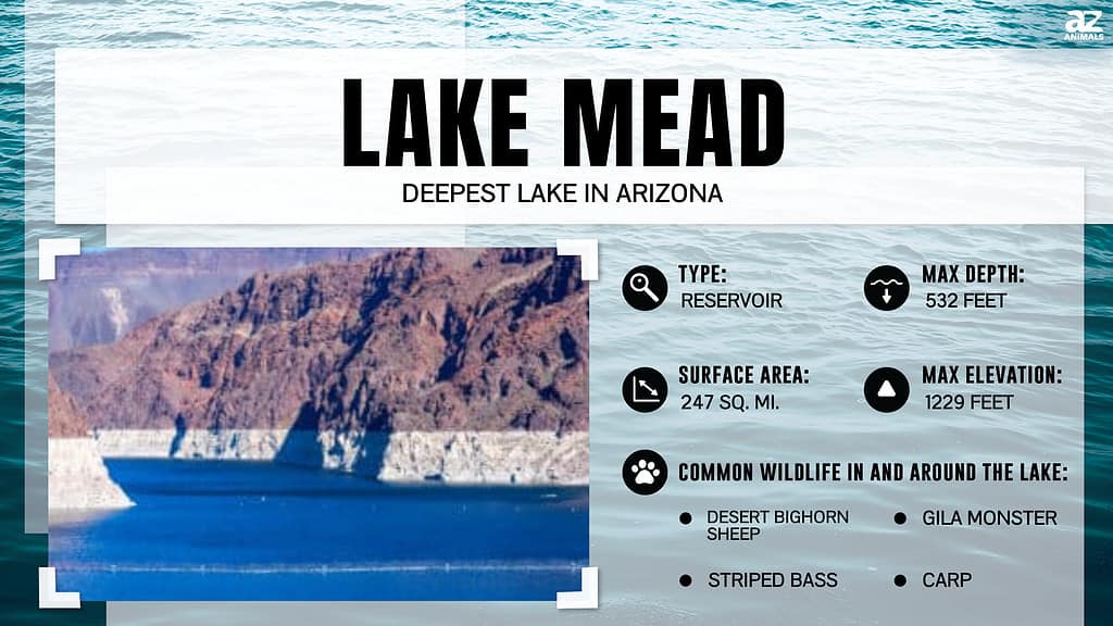 Infograph for Lake Mead, deepest lake in AZ