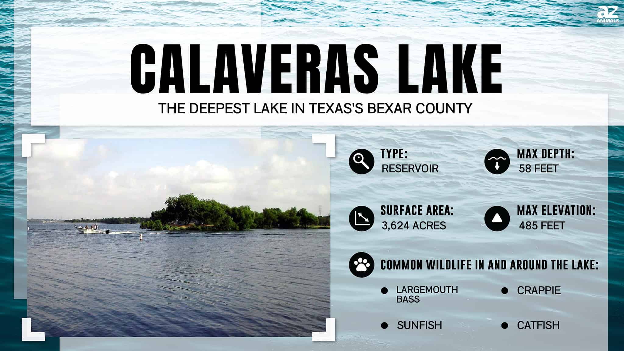 discover-the-deepest-lake-in-texas-s-bexar-county-a-z-animals