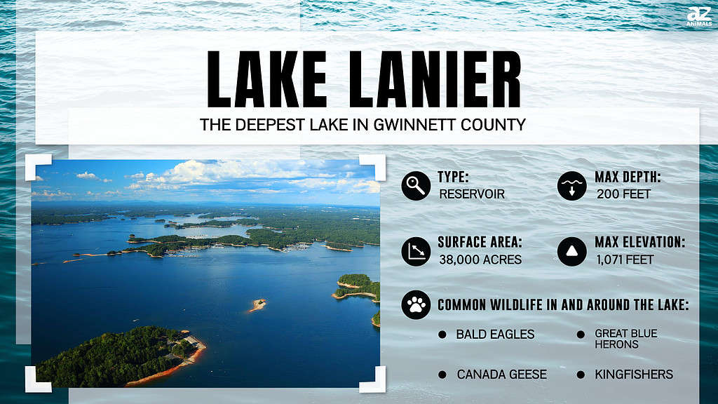 Infographic of Lake Lanier