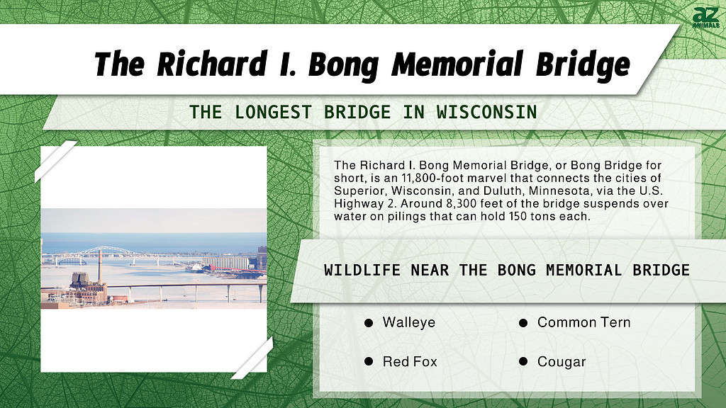 The Richard I. Bong Memorial Bridge is the Longest Bridge in Wisconsin