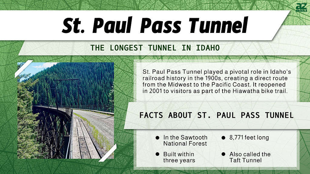 Infographic of St. Paul Pass Tunnel