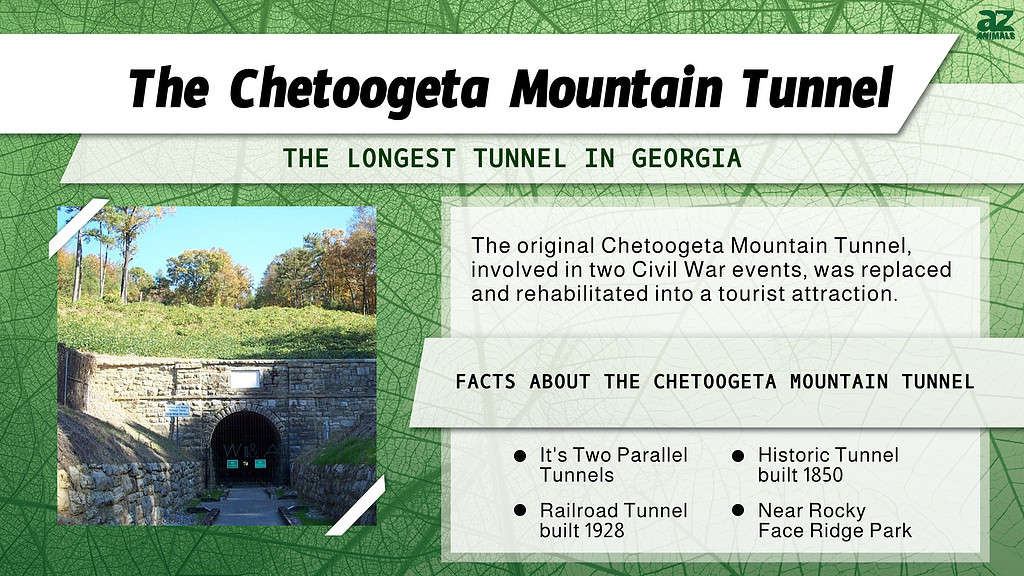 Longest Tunnel Infographic for the Chetoogeta Mountain Tunnel in Georgia.