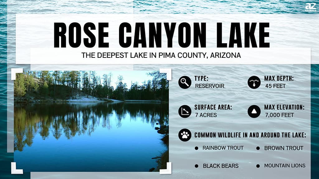 Rose Canyon Lake is the Deepest Lake in Pima County, Arizona
