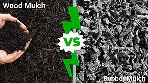 Rubber Mulch vs Wood Mulch: Discover Which is Best for Your Yard Picture