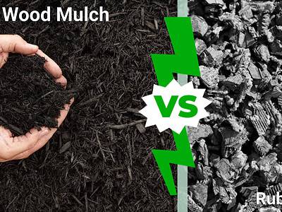 A Rubber Mulch vs Wood Mulch: Discover Which is Best for Your Yard