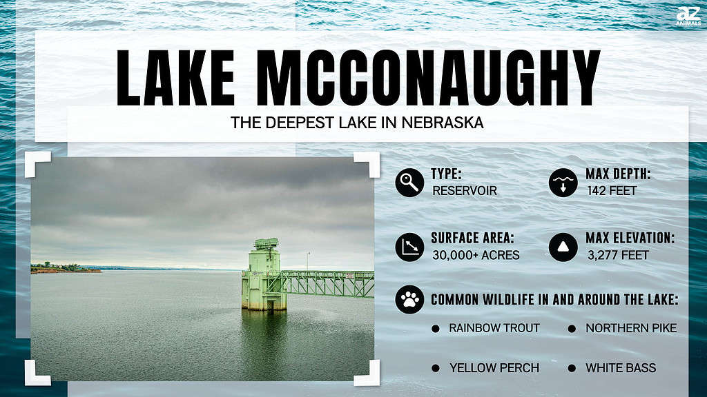 Infographic of Lake McConaughy