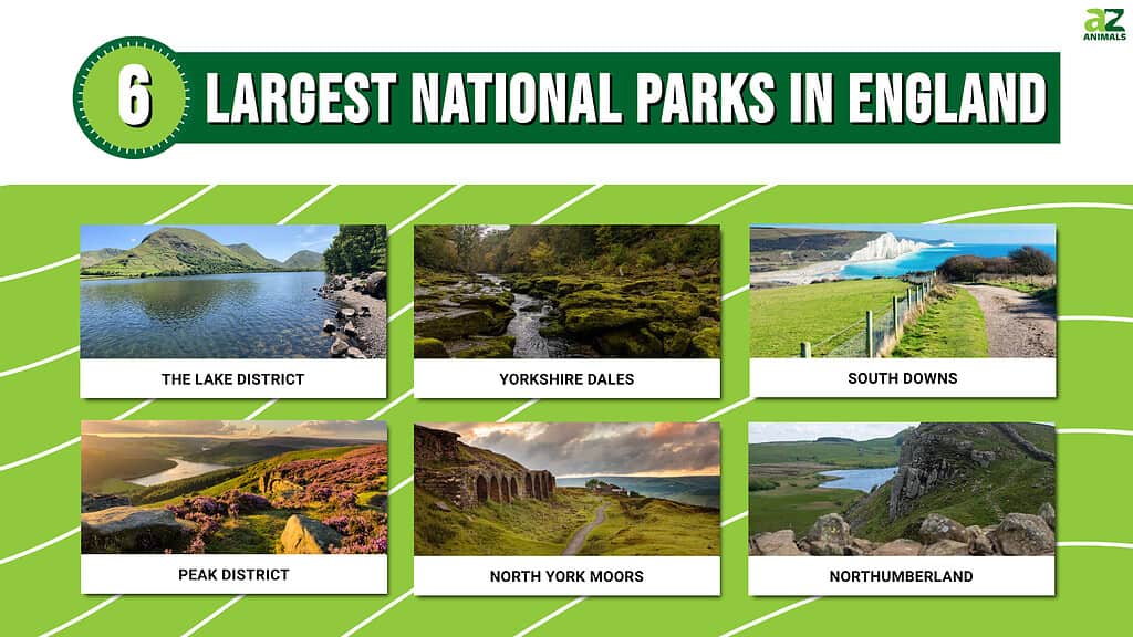 Infographic for the 6 Largest National Parks in England