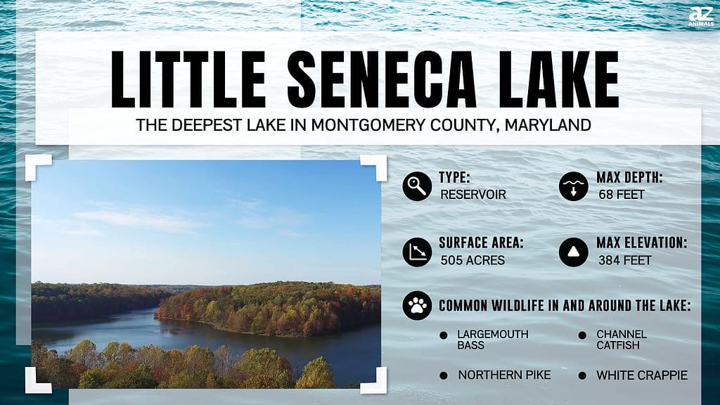 Little Seneca Lake is the Deepest Lake in Montgomery County, Maryland
