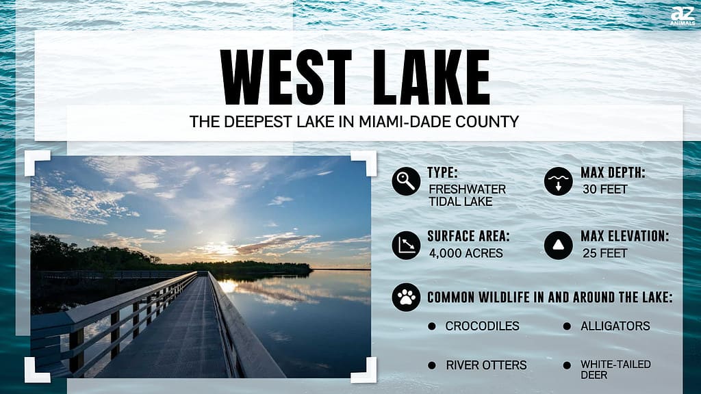 West Lake is the Deepest Lake in Miami-Dade County