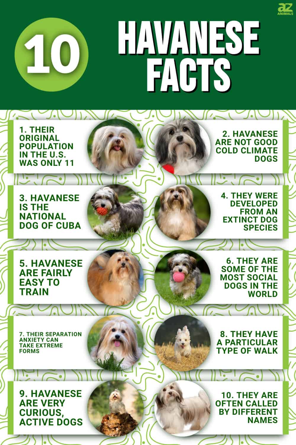 Dog Fun Facts Quiz