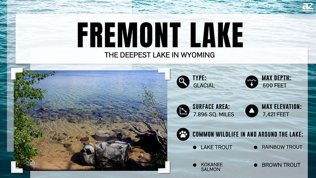 Infographic of Fremont Lake