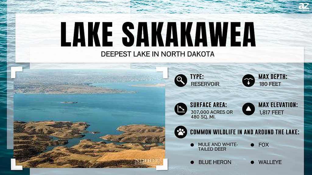 Infographic for Lake Sakakawea, North Dakota