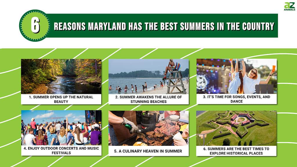 6 Reasons Maryland Has the Best Summers in the Country