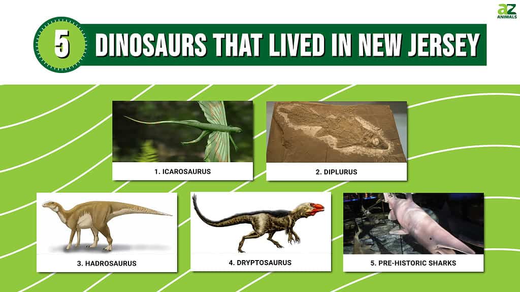 5 Dinosaurs That Lived in New Jersey