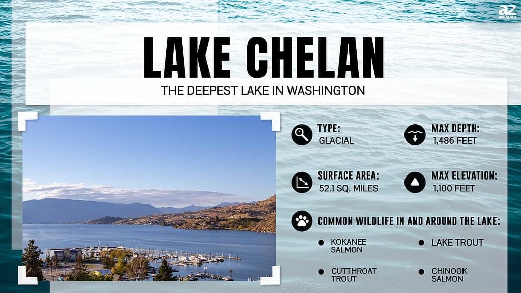 Infographic of Lake Chelan