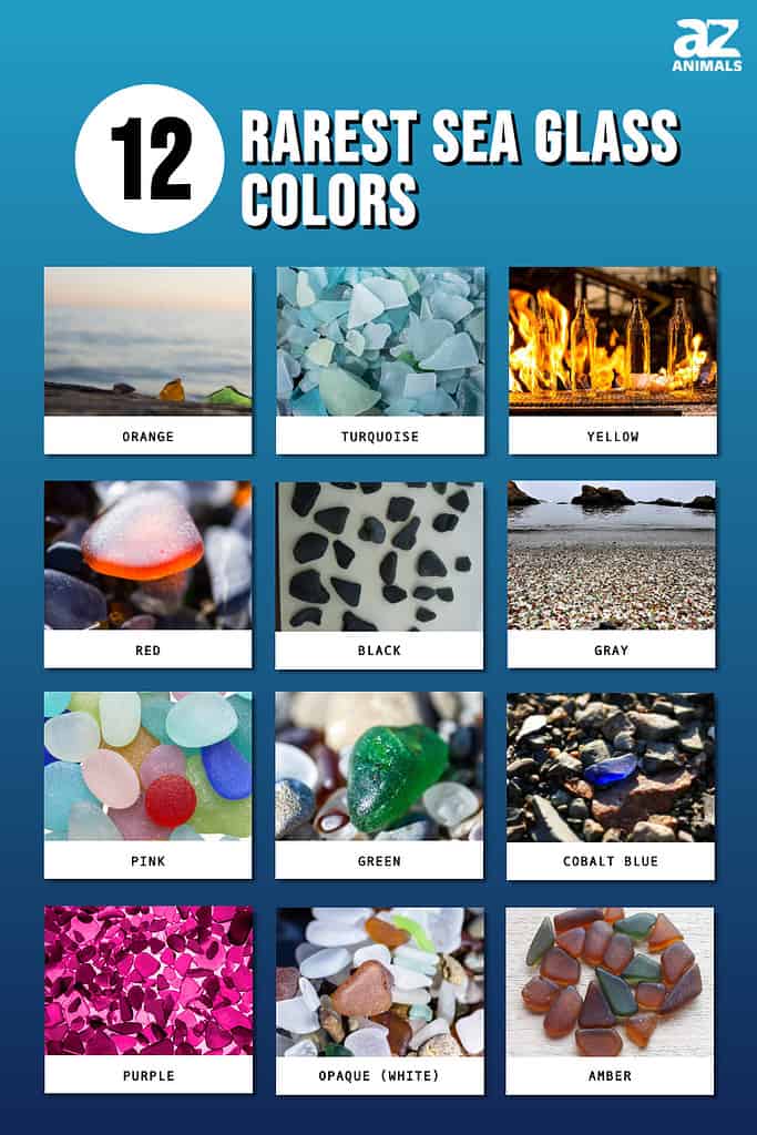 Discover the Top 12 Rarest Sea Glass Colors - A-Z Animals