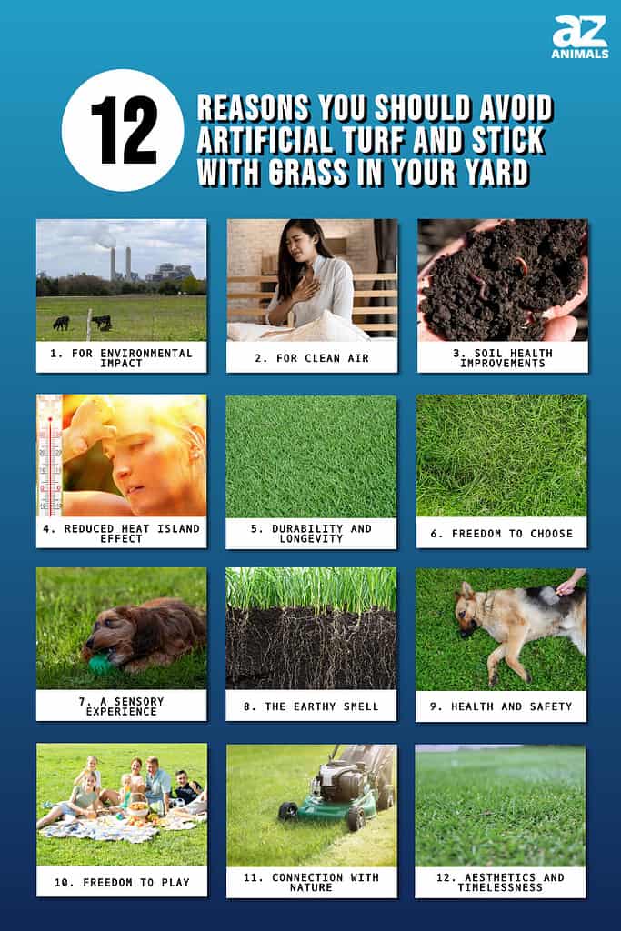 12 Reasons You Should Avoid Artificial Turf and Stick With Grass in Your Yard