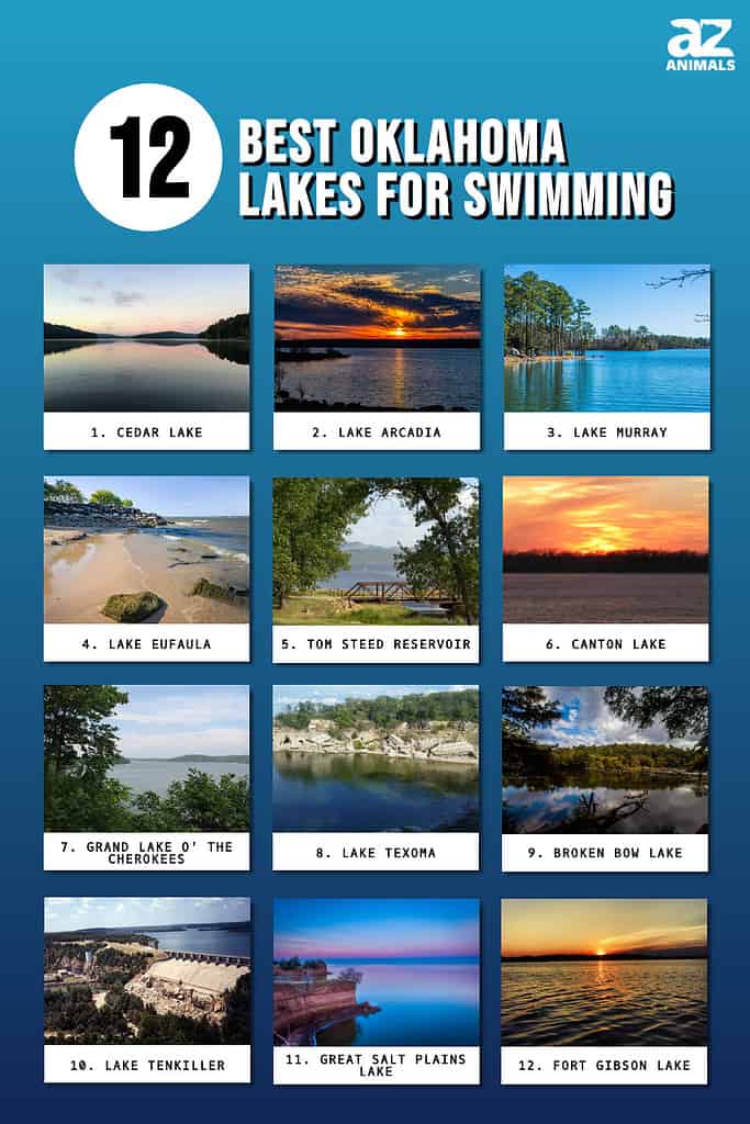Infographic of 12 Best Oklahoma Lakes for Swimming