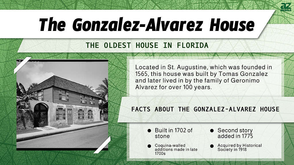 Infographic of the Gonzalez-Alvarez House in St. Augustine, Florida.