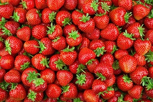 Too Many Strawberries? 33 Ways to Make Great Use a Huge Harvest Picture