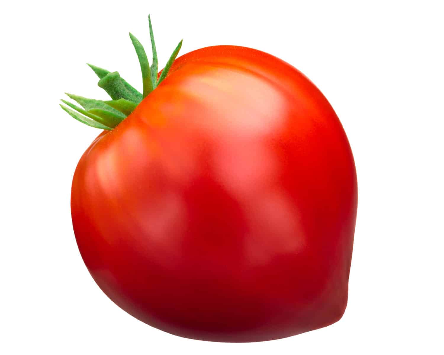 Oxheart tomato (Cuor di bue), ripe, whole