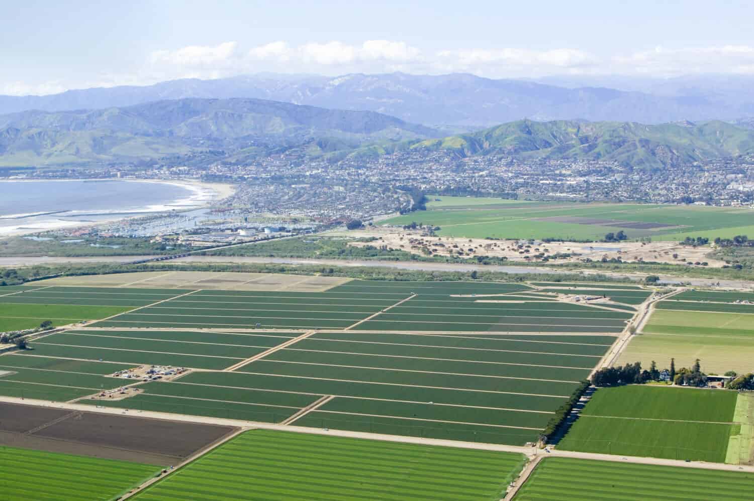 Aerial view of Oxnard farm fields in spring Ventura County, California