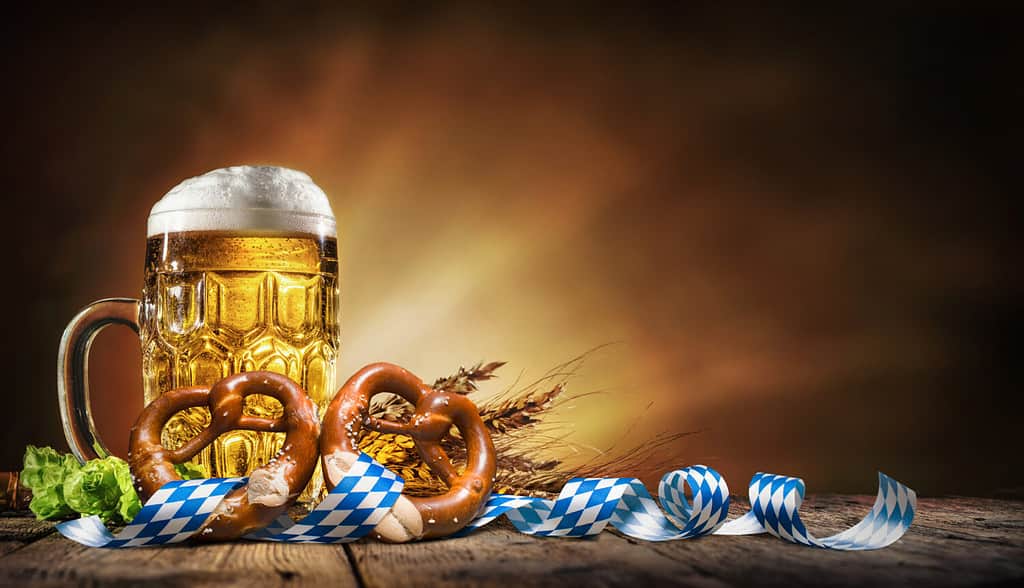 Oktoberfest beer with pretzel, wheat and hops on wooden table