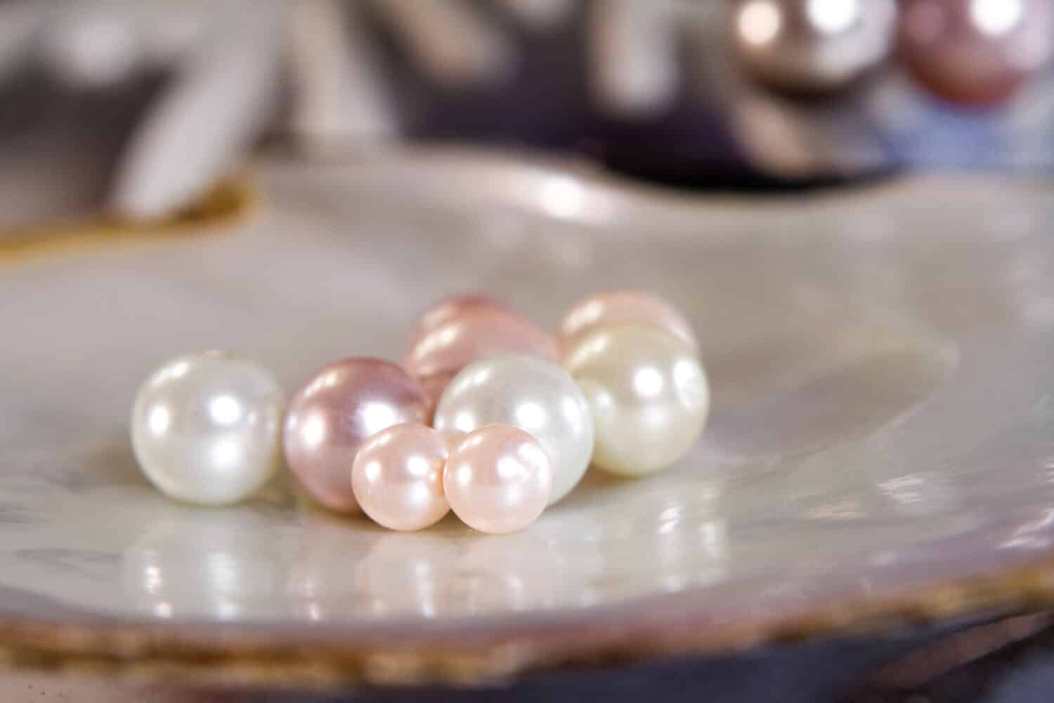 Different Pearl Types & Colors, The Four Major Types of Cultured Pearls