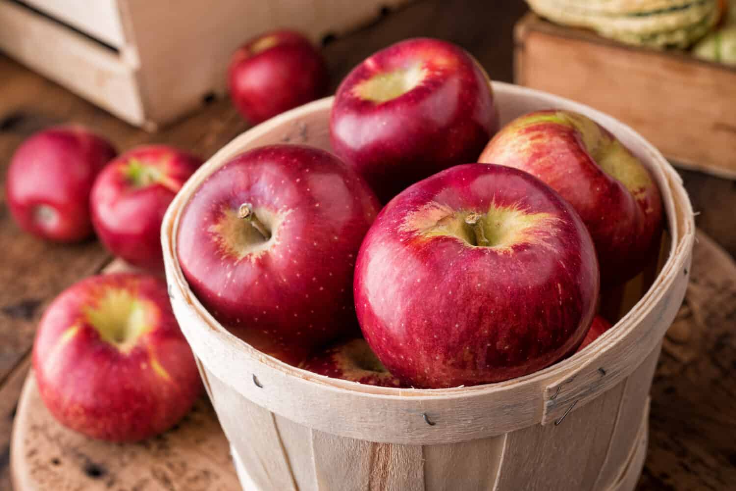 First Fruits Organic Opal Apples 27 LB