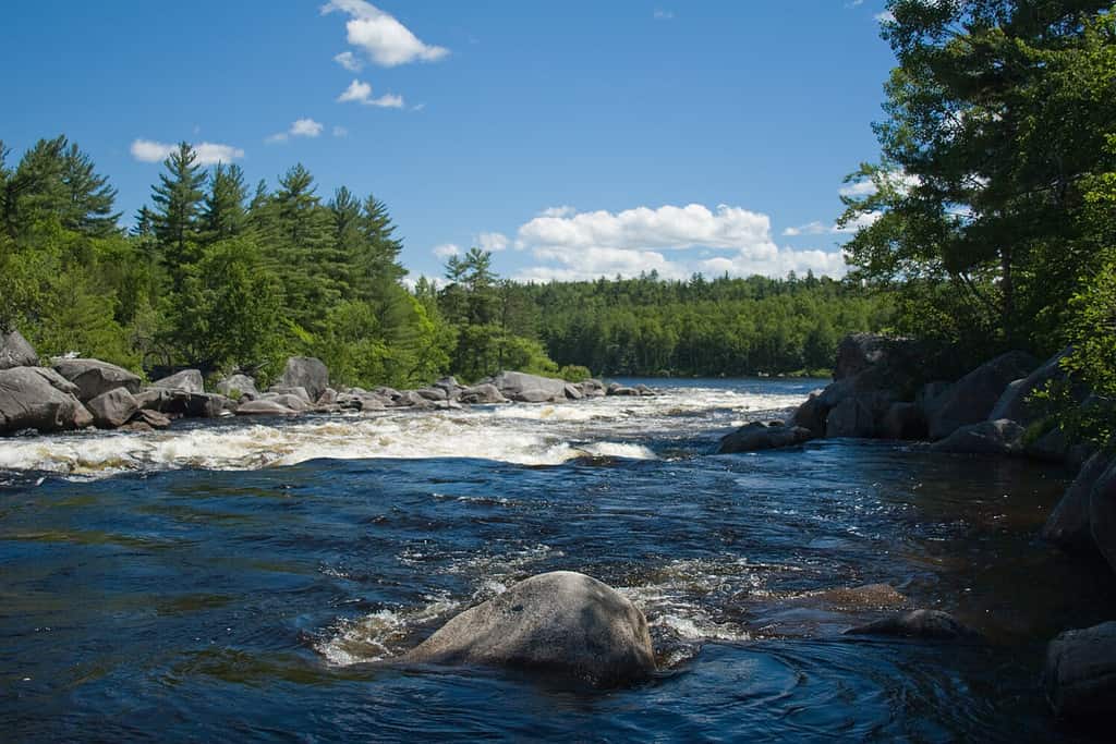 The West Branch of the Penobscot river in northern Maine