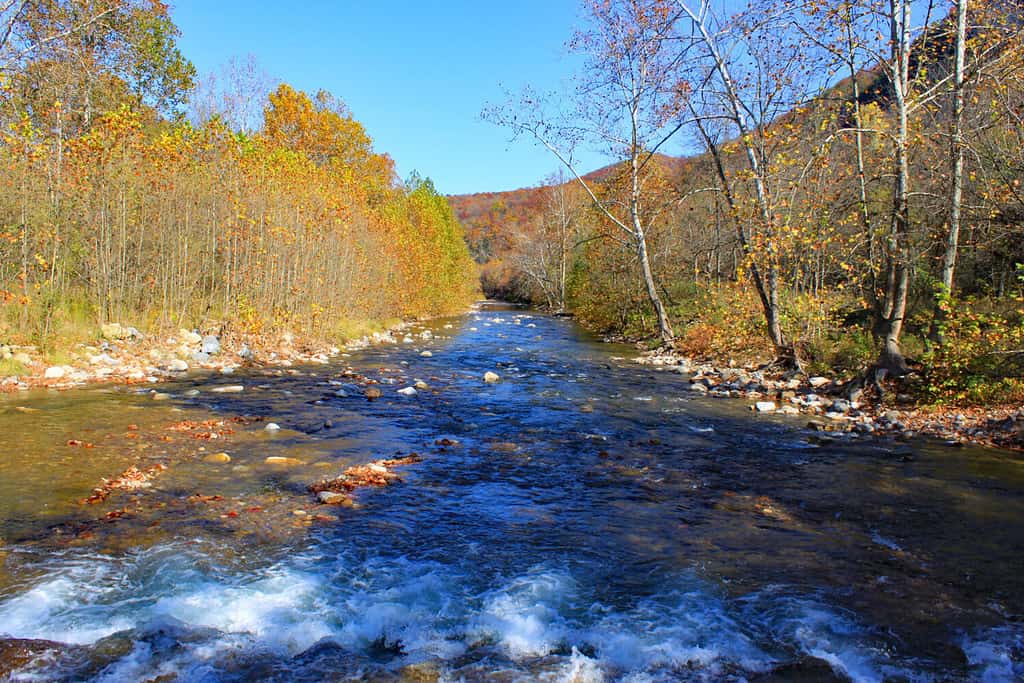 Seneca Rocks Roy Gap Road looking north over the North Fork South Branch Potomac River, West Virginia.