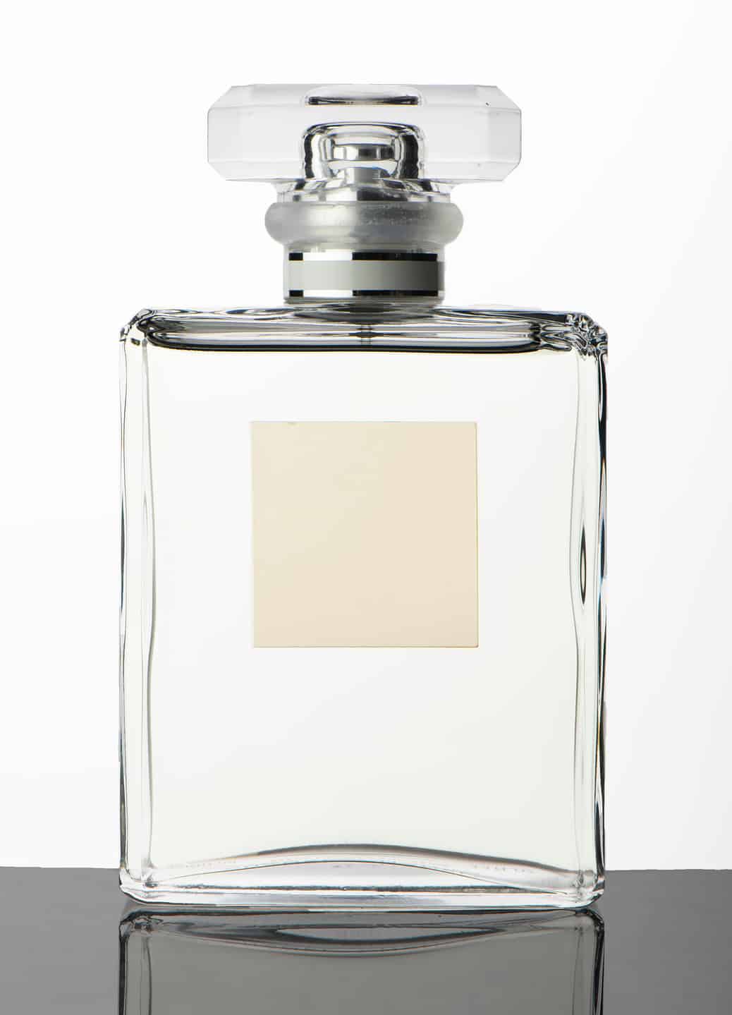 Discover 4 Smells that Attract Bed Bugs Like AZ Animals