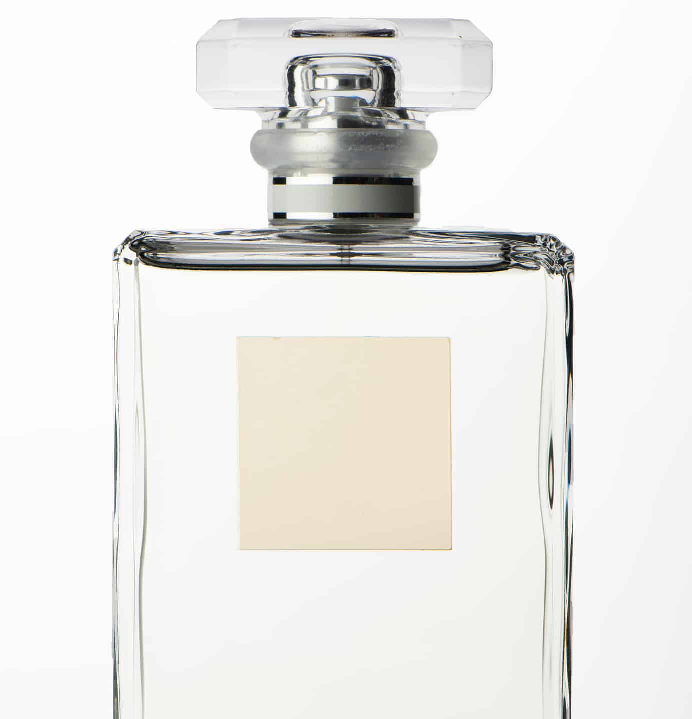 Discover 4 Smells that Attract Bed Bugs Like AZ Animals