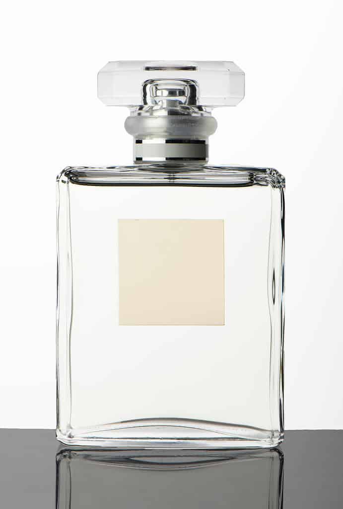 Studio shot transparent glass perfume bottle