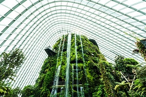 Discover the Largest Greenhouse in the Entire World Picture