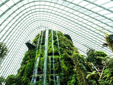 A Discover the Largest Greenhouse in the Entire World