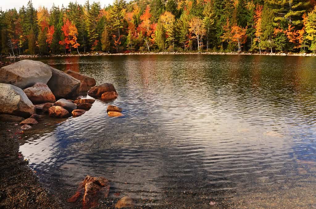 Beautiful view of the autumn lake. Reflection of red, orange yellow trees in the calm smooth surface of the lake. A riot of autumn colors. Acadia National Park. USA. Maine