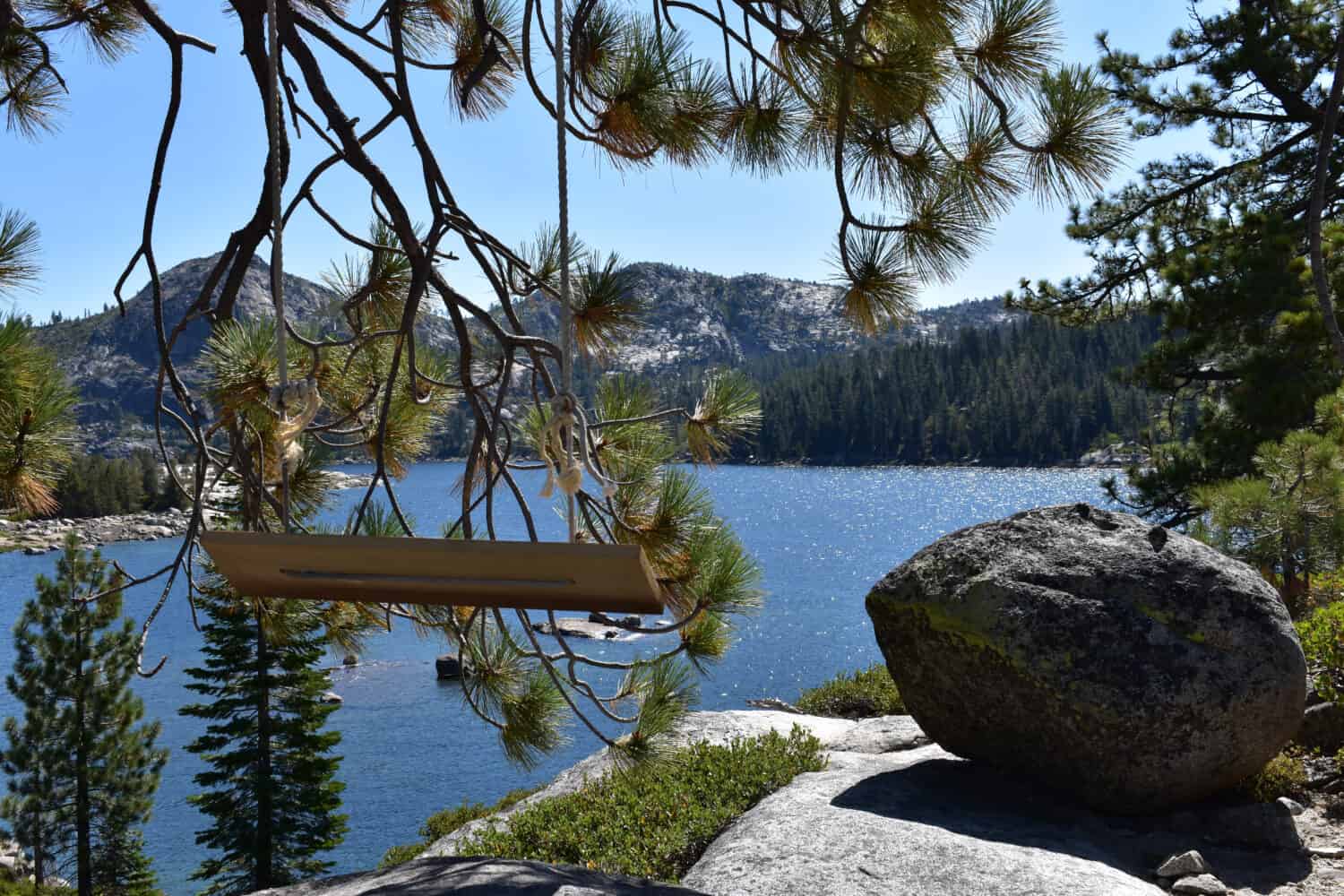 Beautiful pine trees at Loon Lake (California)