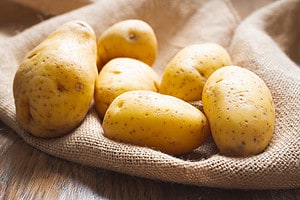How to Grow Hydroponic Potatoes: A Complete Guide Picture