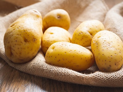 A How to Grow Hydroponic Potatoes: A Complete Guide