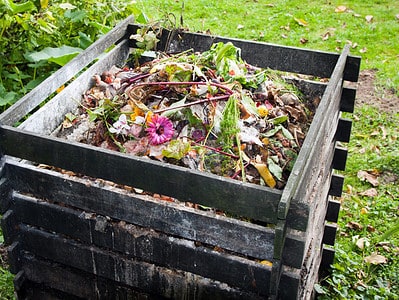 A Discover 5 Unique Homemade Compost Solutions