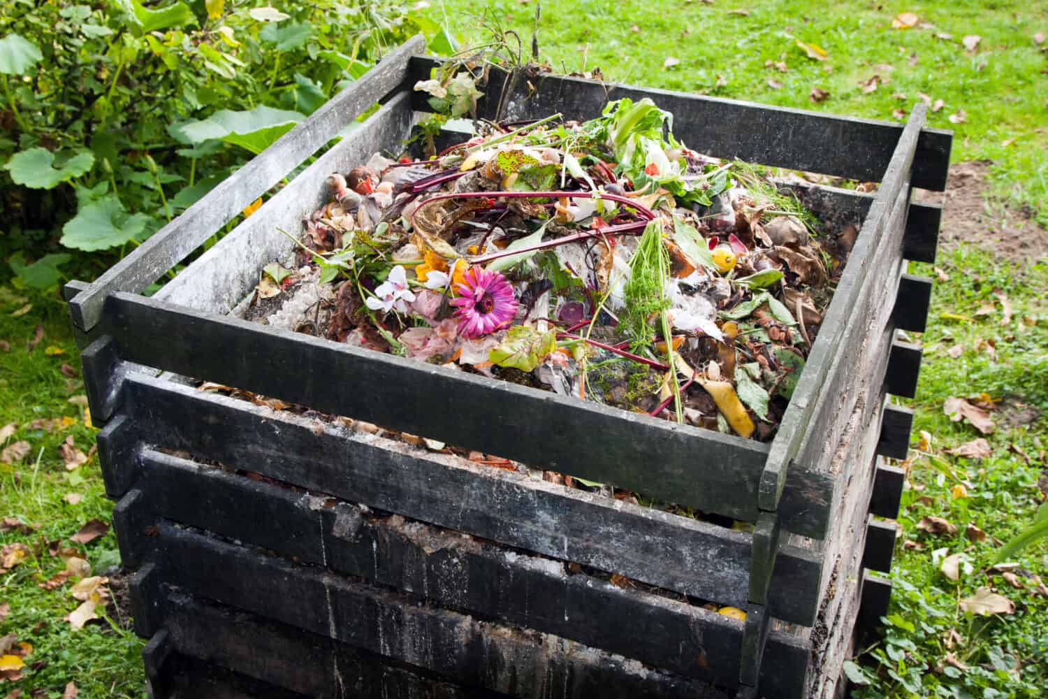 Compost bin in the garden