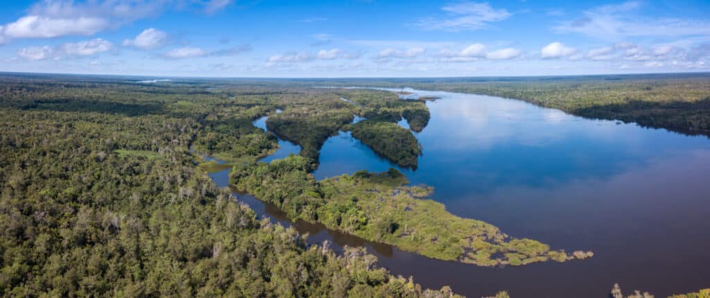 Beautiful aerial drone panoramic view of Xingu river in the Amazon rainforest on sunny summer day with blue sky. Mato Grosso, Brazil. Concept of nature, ecology, natural resources and environment.