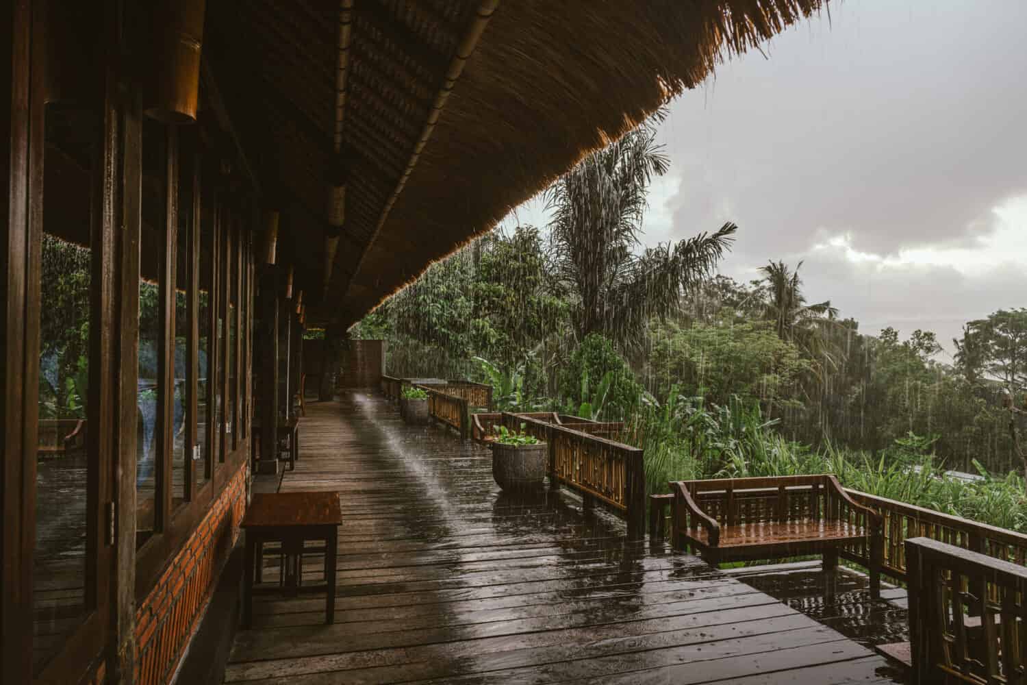 Landscape view on the tropical forest from the house due to the rain season in Bali island 