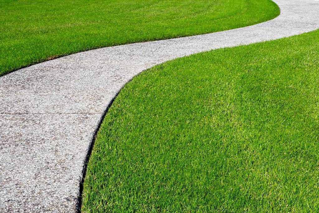 A thick carpet of zoysia grass and an oyster shell tabby pathway suggest the concept of a journey, or of a beautifully maintained garden.