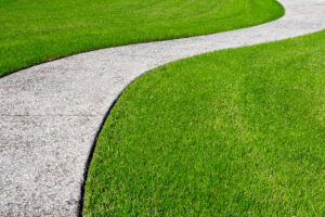 12 Reasons You Should Ditch Grass and Install Artificial Turf Picture