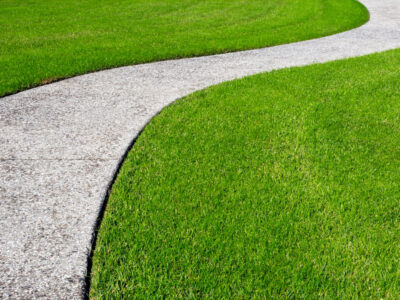 A 12 Reasons You Should Ditch Grass and Install Artificial Turf